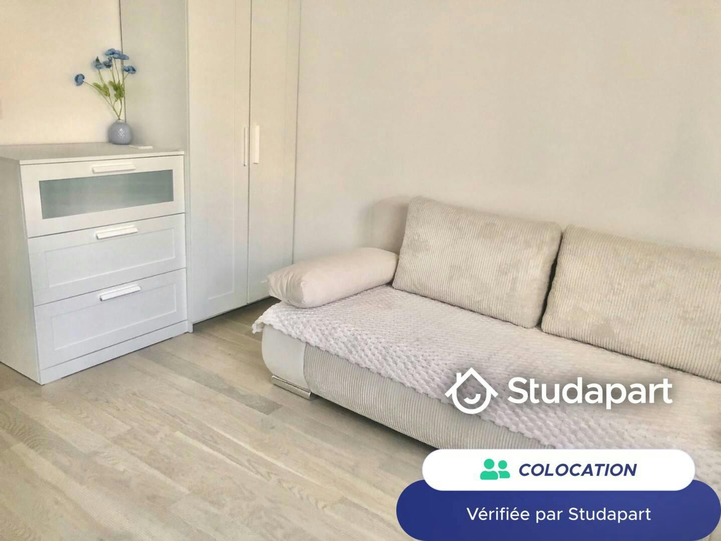 Chambre privée à louer pour 960 €/mois à Le Plessis-Robinson, Rue de Sceaux