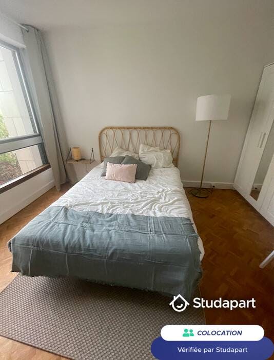Private room for rent on Rue Lecourbe, Paris - Vue 3
