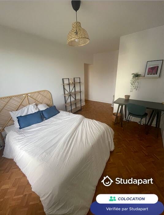 Private room for rent on Rue Lecourbe, Paris - Plus