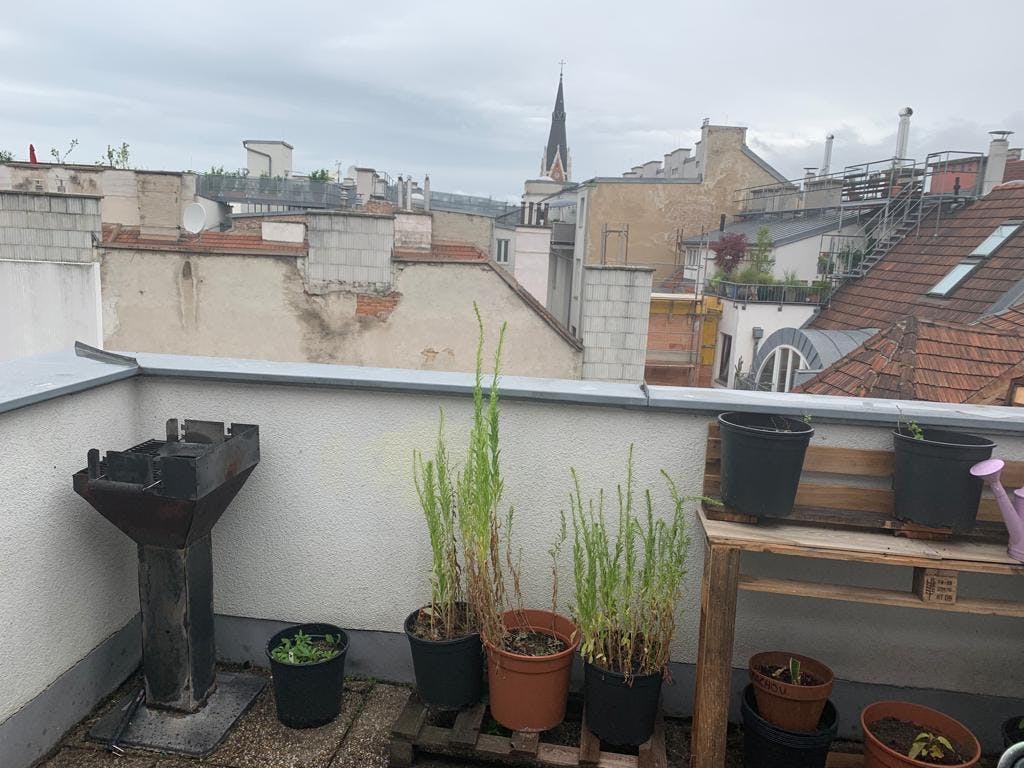 Apartment Vienna, 1 bed, 20m² — photo 1