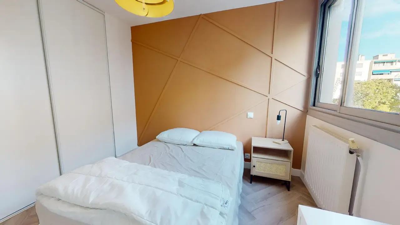 Private room in Rue du Vercors, Montpellier (1593204) ROOM 1