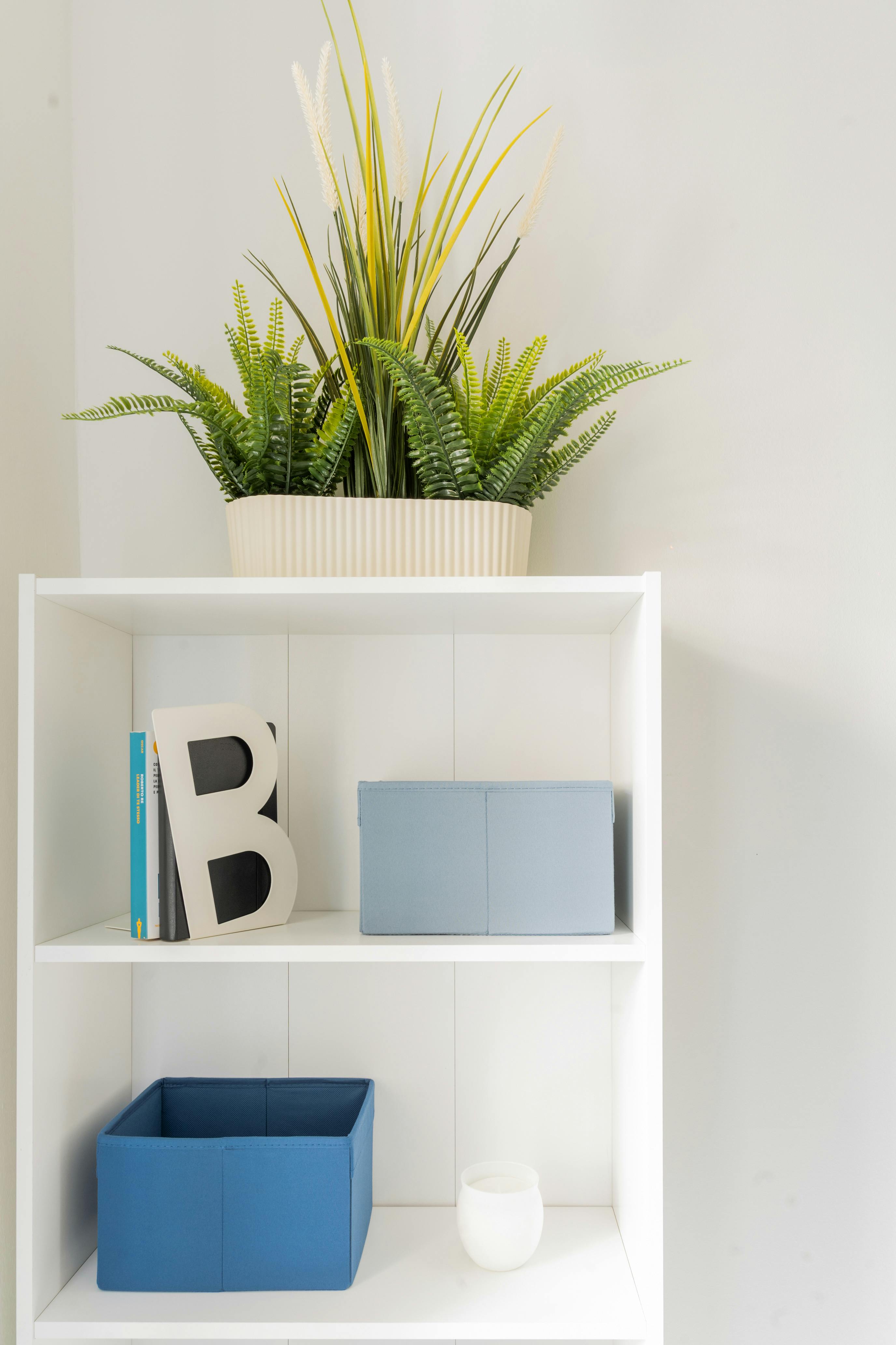 Single room Turin, 1 bed, 10m² — photo 3