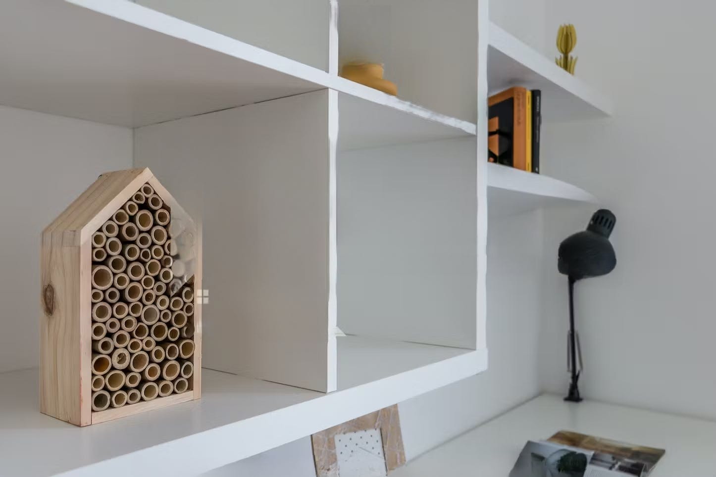 Single room Padova, 1 bed, 11m² — photo 8