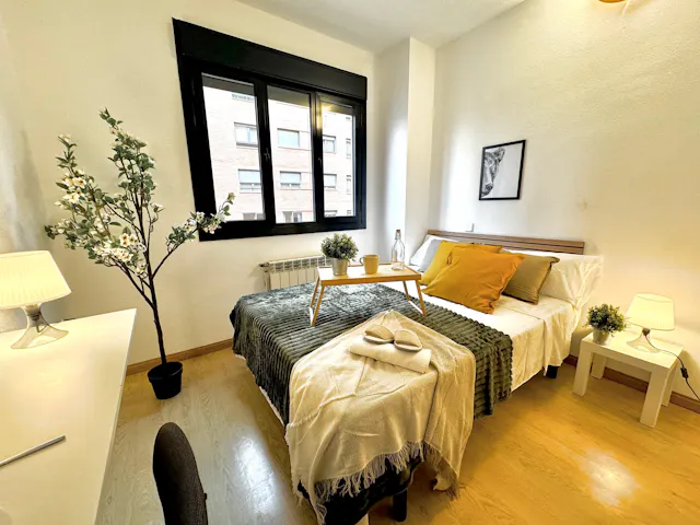 Private room in Calle de Vicente Blasco Ibáñez, Madrid (1593892) room image 1