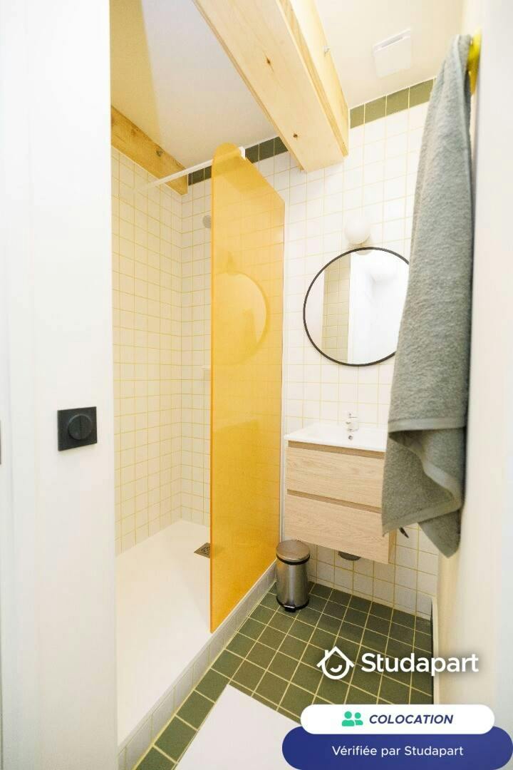 Private room for rent on Rue Jacquemars Giélée, Lille - Plus