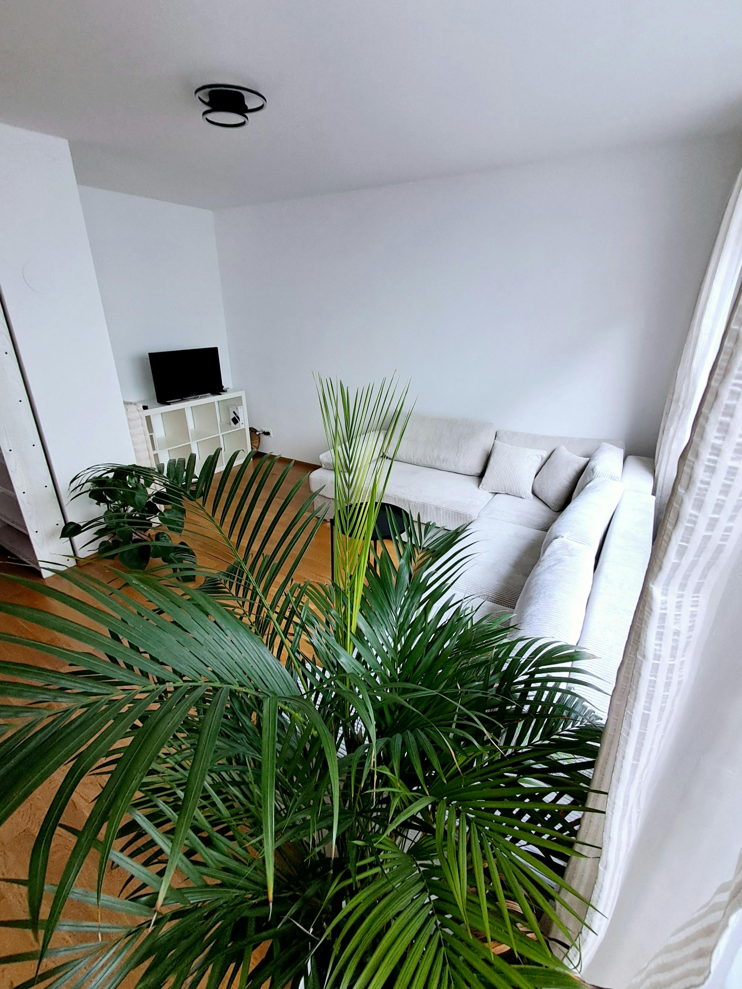 Prechtlgasse, Vienna preview