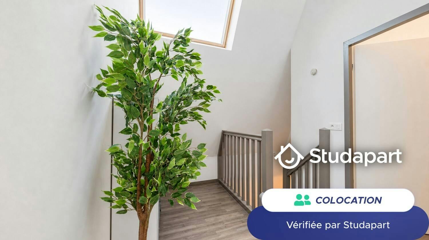 Private room for rent on Rue Achard, Bordeaux - Vue 4
