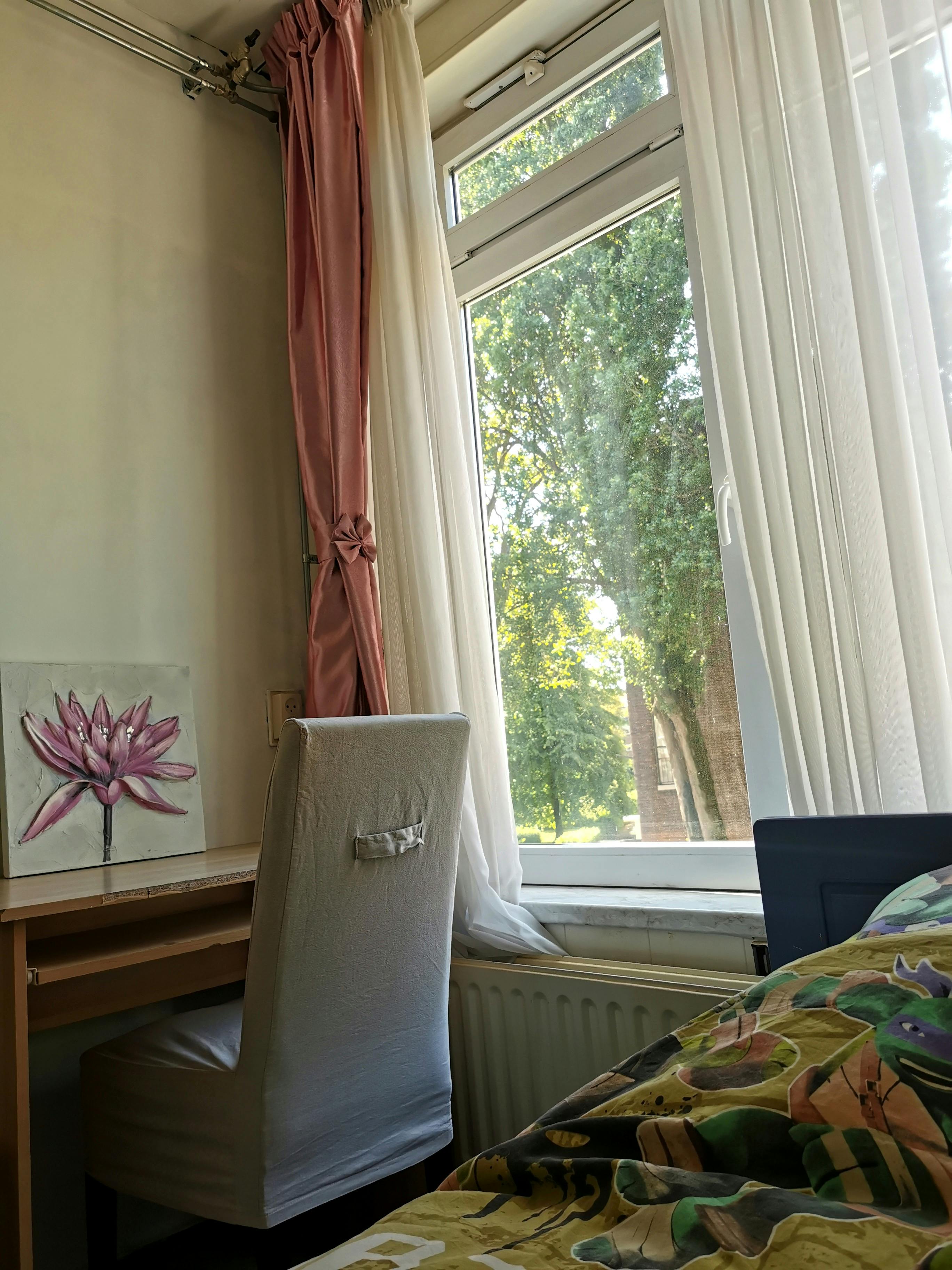 Weteringstraat, Rotterdam preview