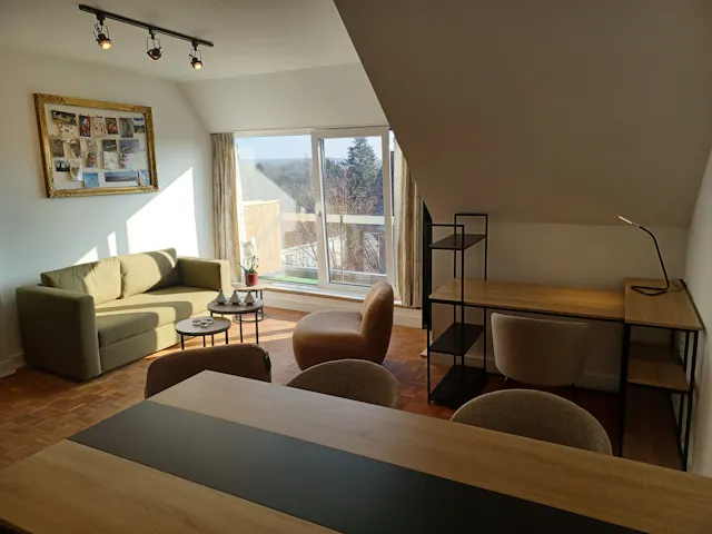 1-Bedroom Apartment in Avenue des Tourterelles, Woluwe-Saint-Pierre (1594467) room image 1