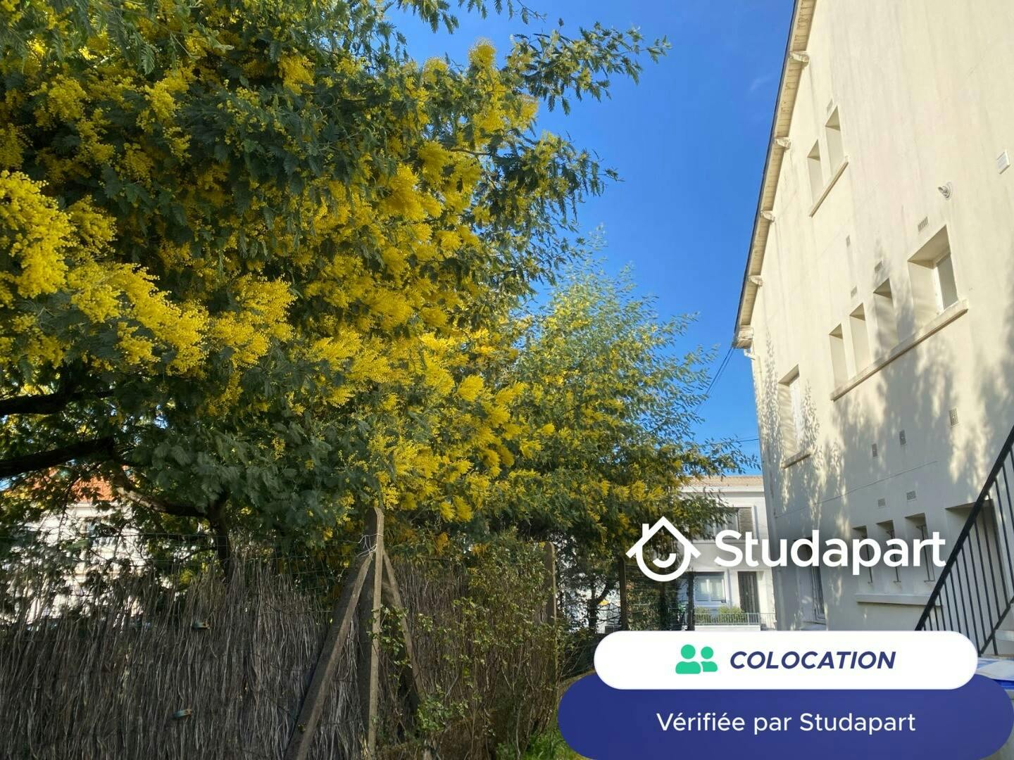 Private room for rent on Rue de Jussieu, Nantes – pohled 6