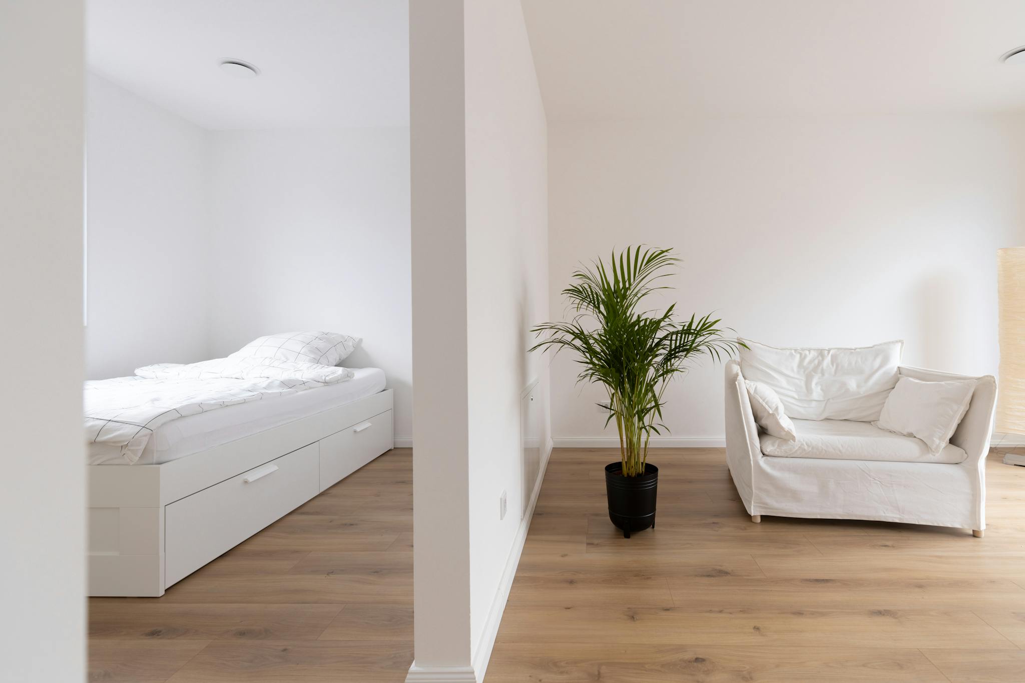 Reembusch, Hamburg preview