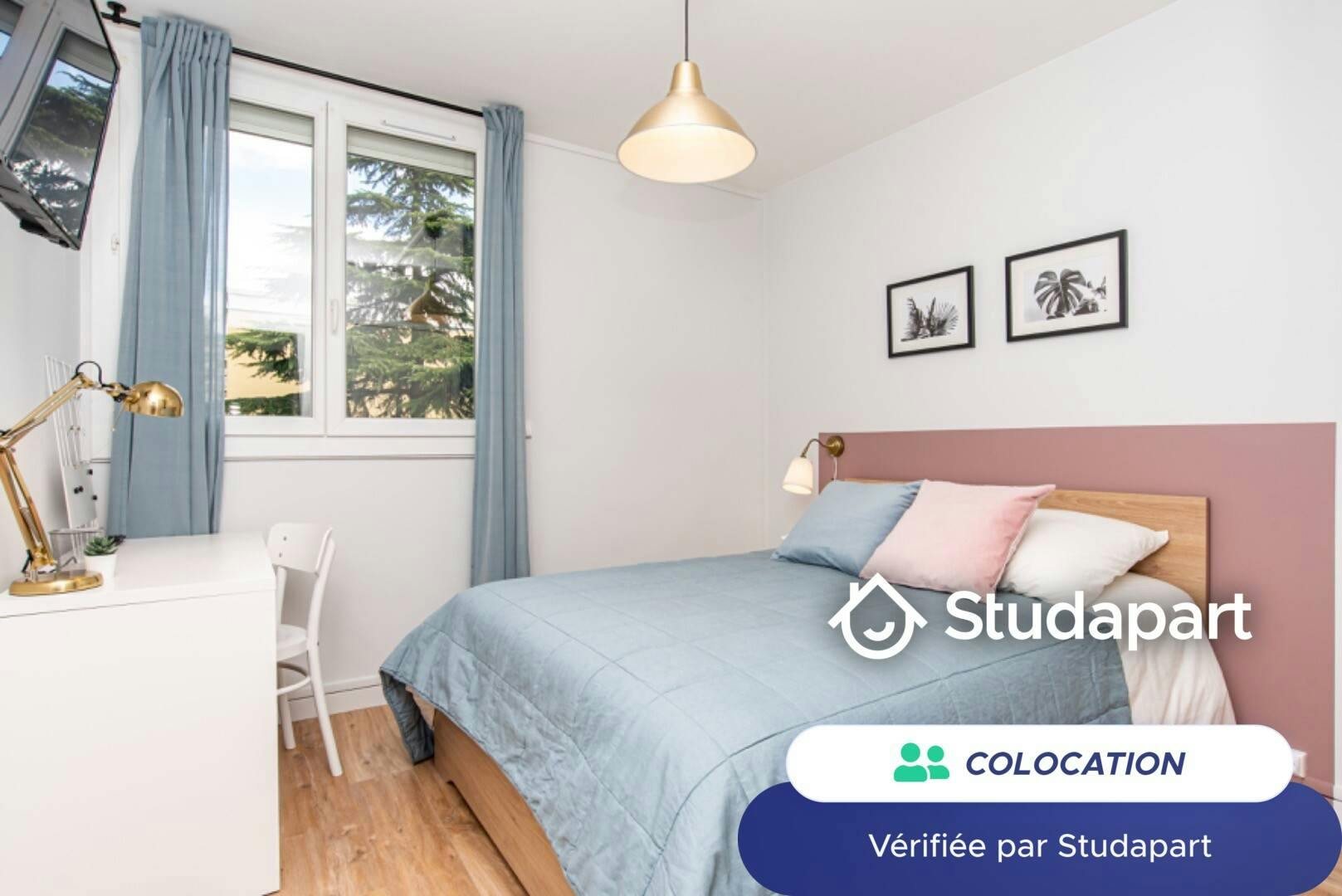 Private room for rent on Rue Emile Guyou, Toulouse - Plus