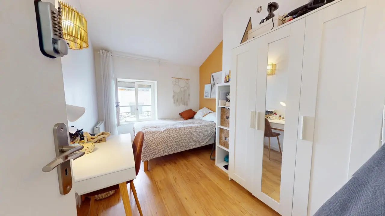 Private room in Rue Paul Bert, Lyon (1599362) ROOM