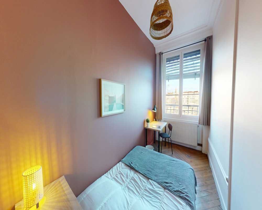 Quai Romain Rolland, Lyon preview