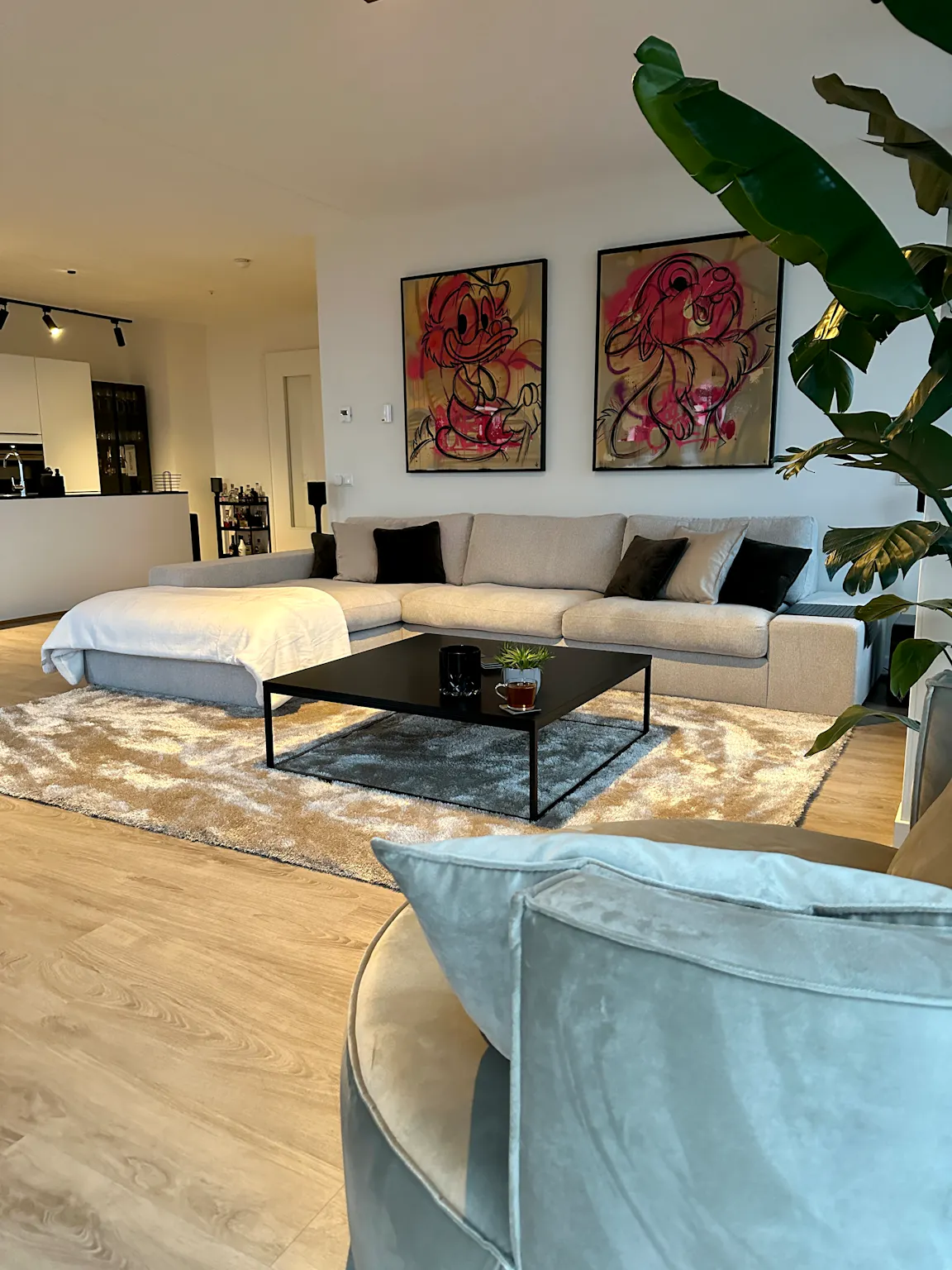 1-Bedroom Apartment in Houtlaan, Rotterdam (1599881) ROOM