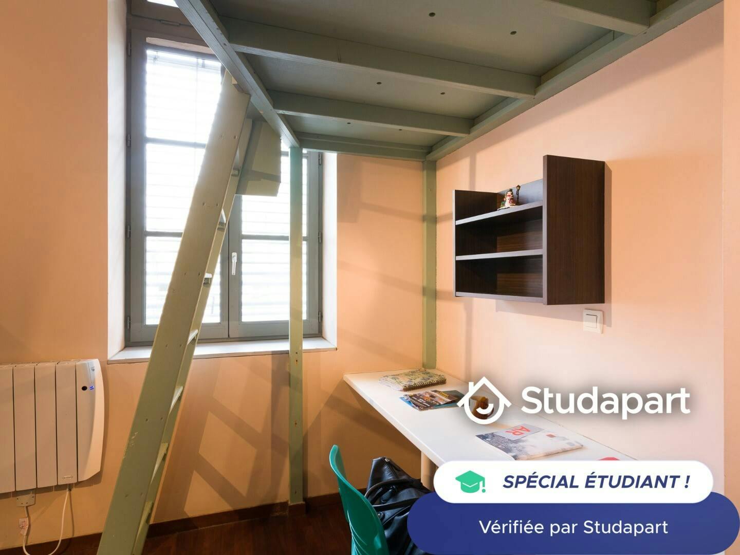 Private room for rent on Rue de l'Antiquaille, Lyon - Widok 3