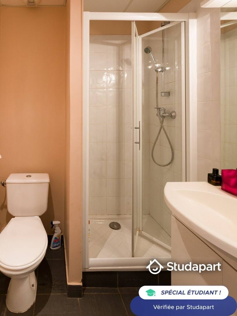 Private room for rent on Rue de l'Antiquaille, Lyon - Widok 5