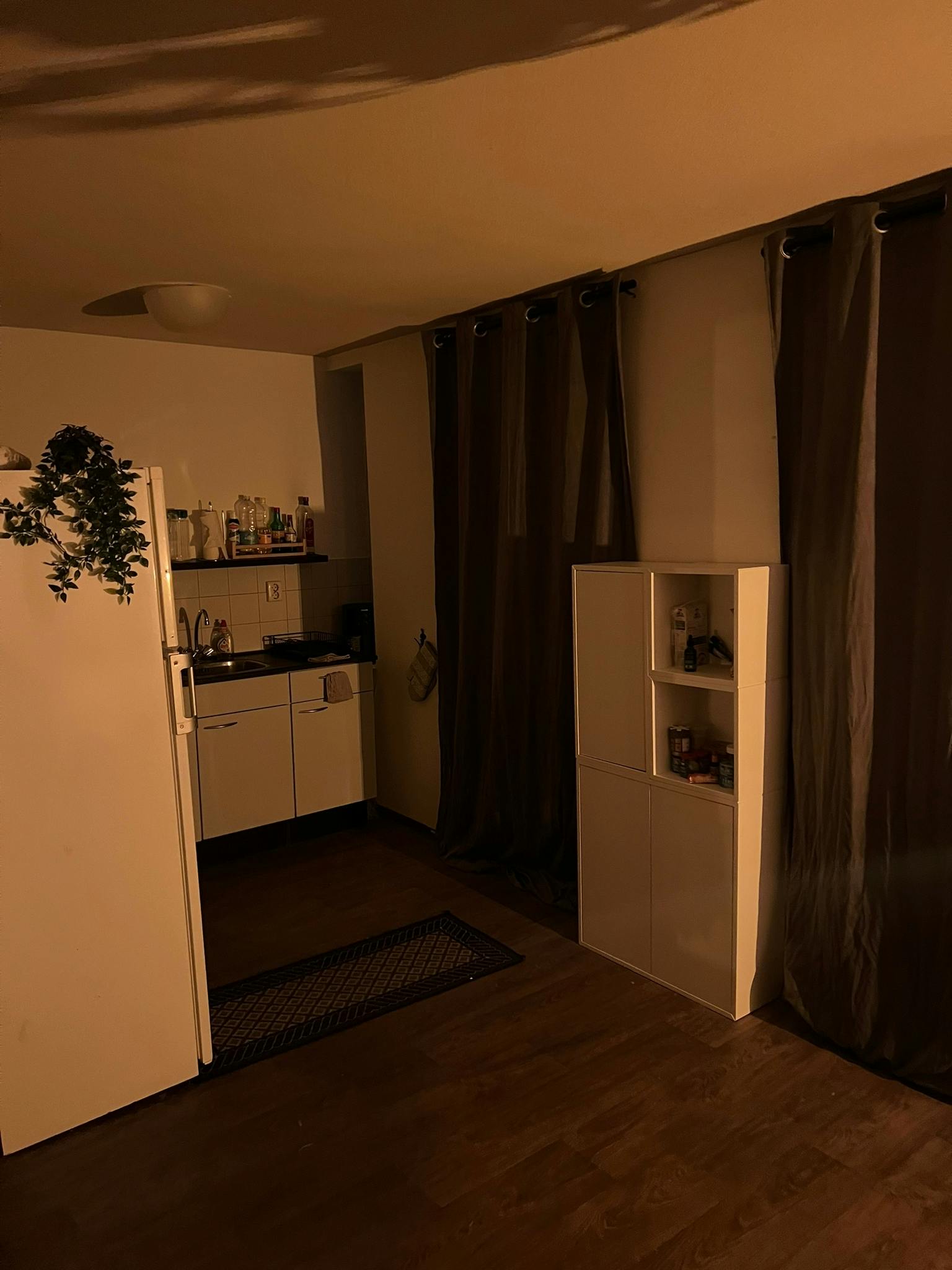 Studio aan Huijgenspark, The Hague