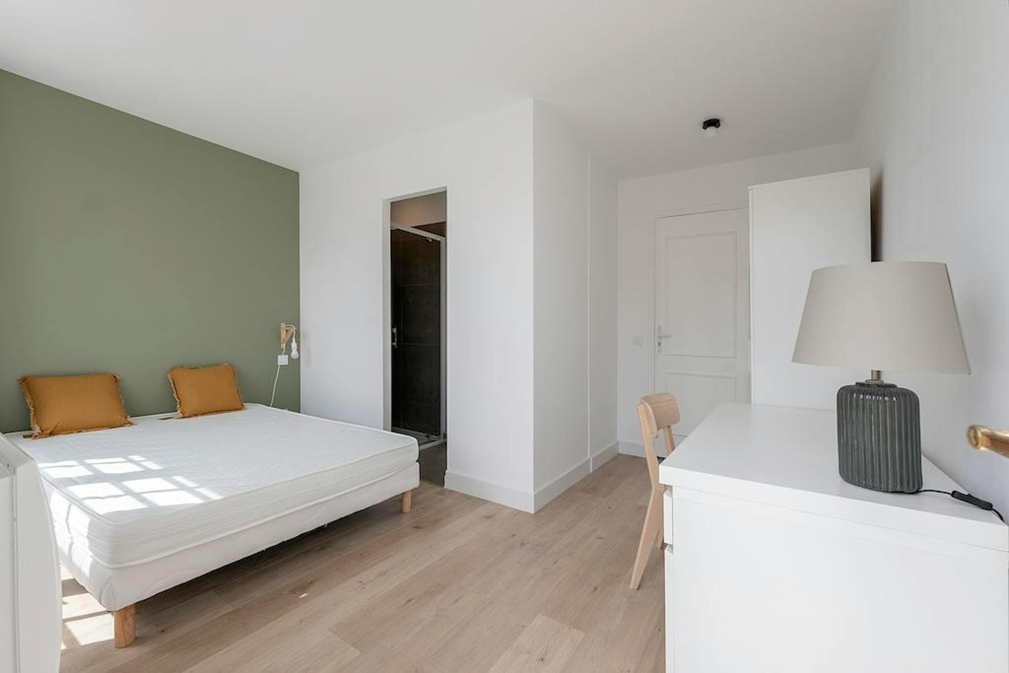 Rue Calixte Camelle, Talence preview