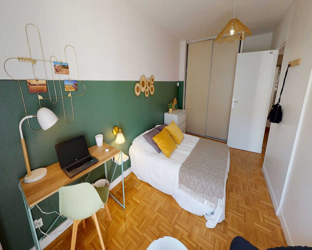 Private room in Rue Salomon Reinach, Lyon (1602906) room image 1