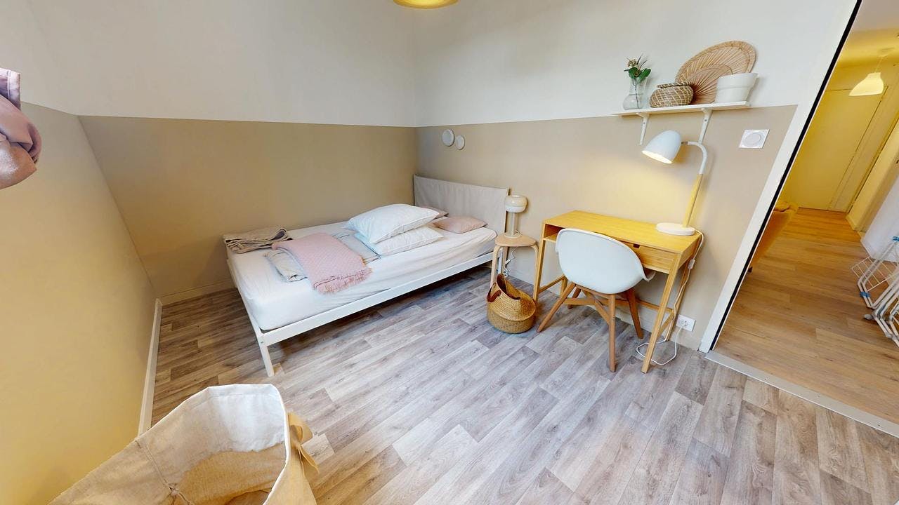 Private room for rent on Rue Etienne Richerand, Lyon – pohled 3