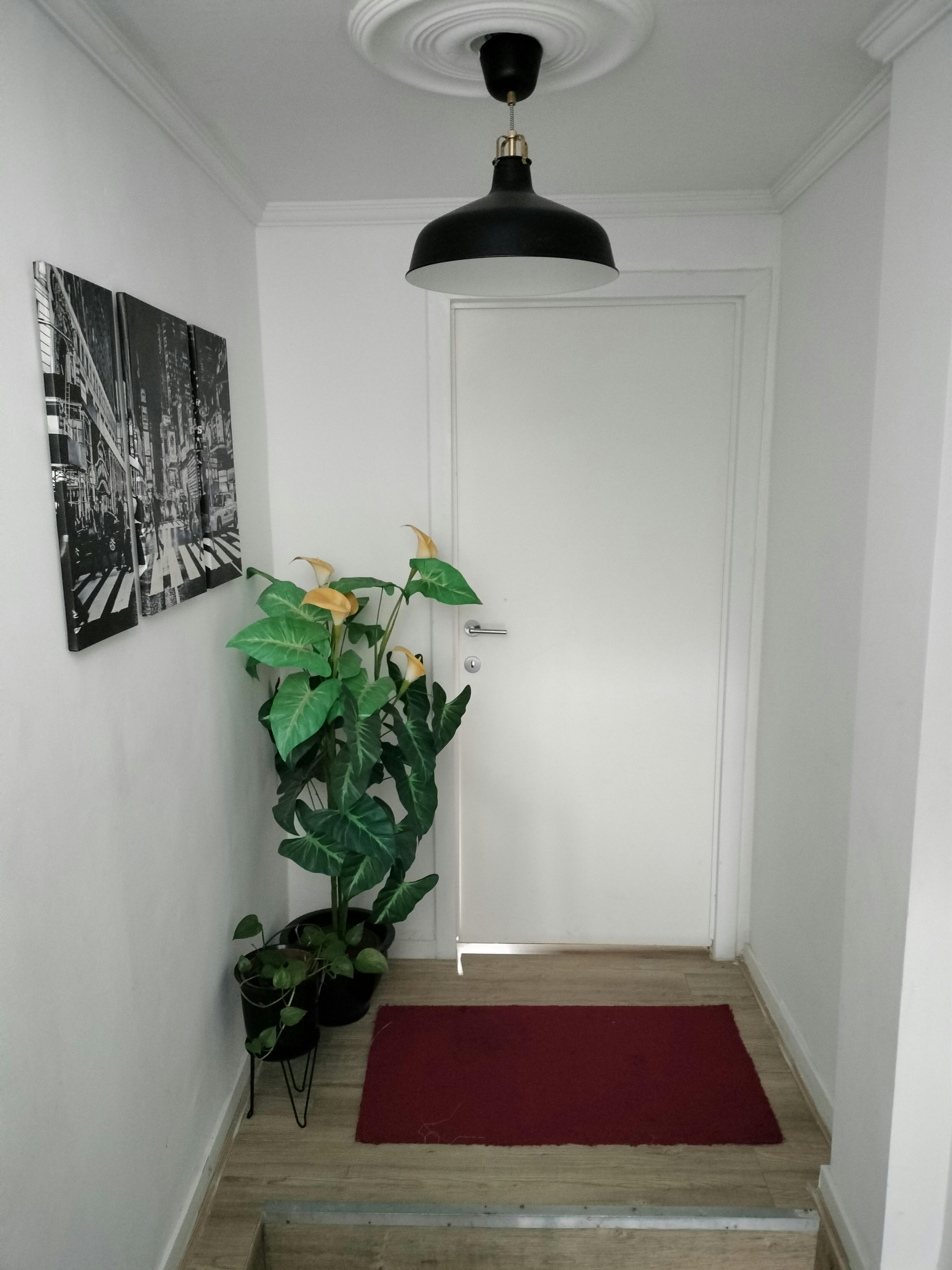 Appartement in Antwerpen