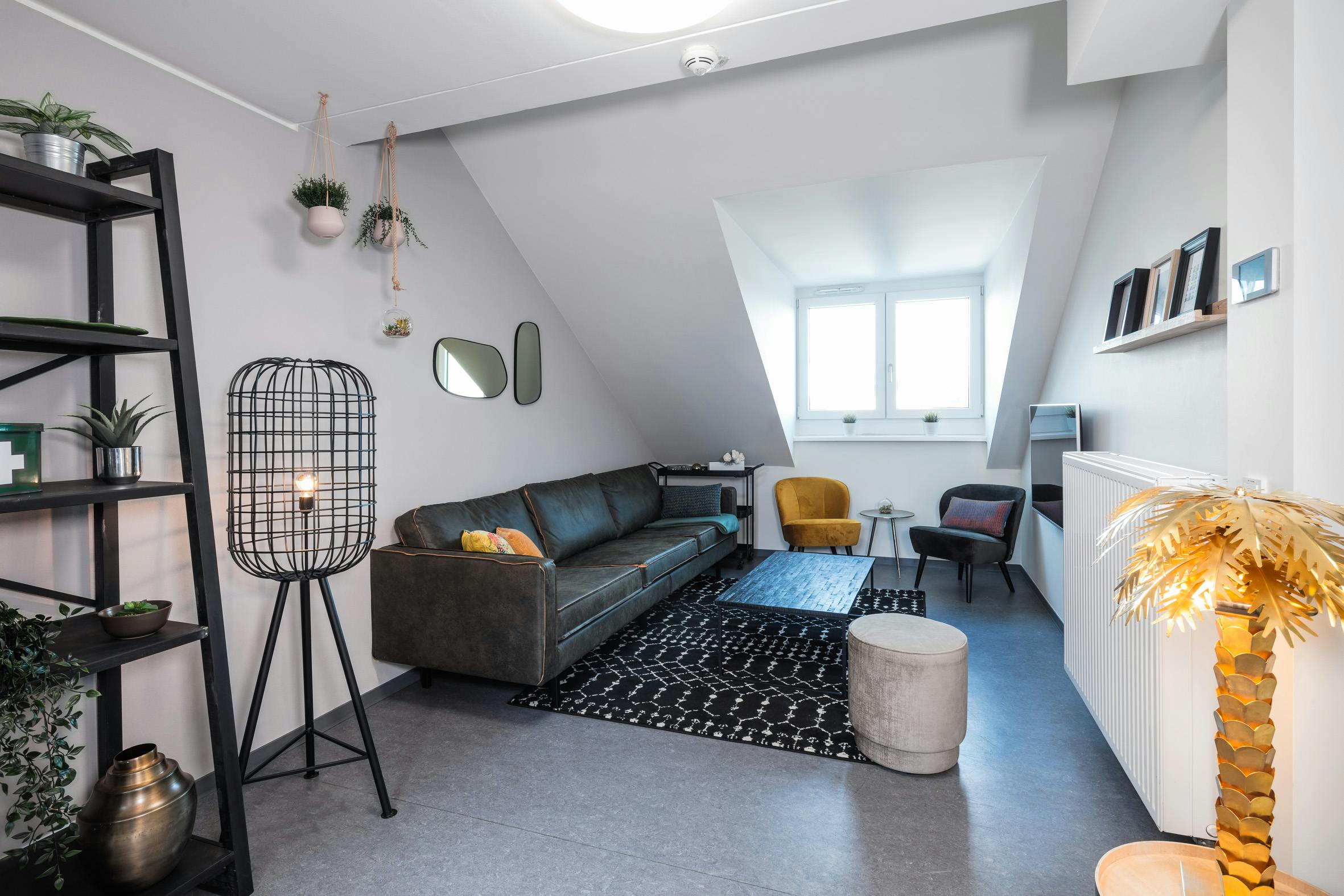 Studio te huur voor € 729 per maand in Dresden, Holzhofgasse