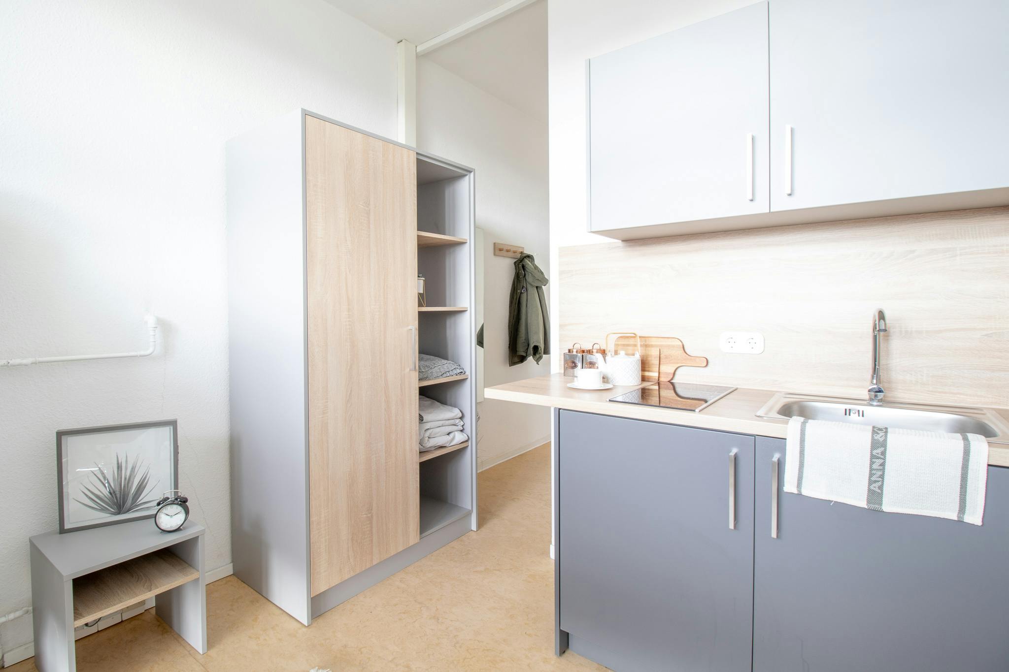 Studio for rent for €488 per month in Dresden, Güntzstraße