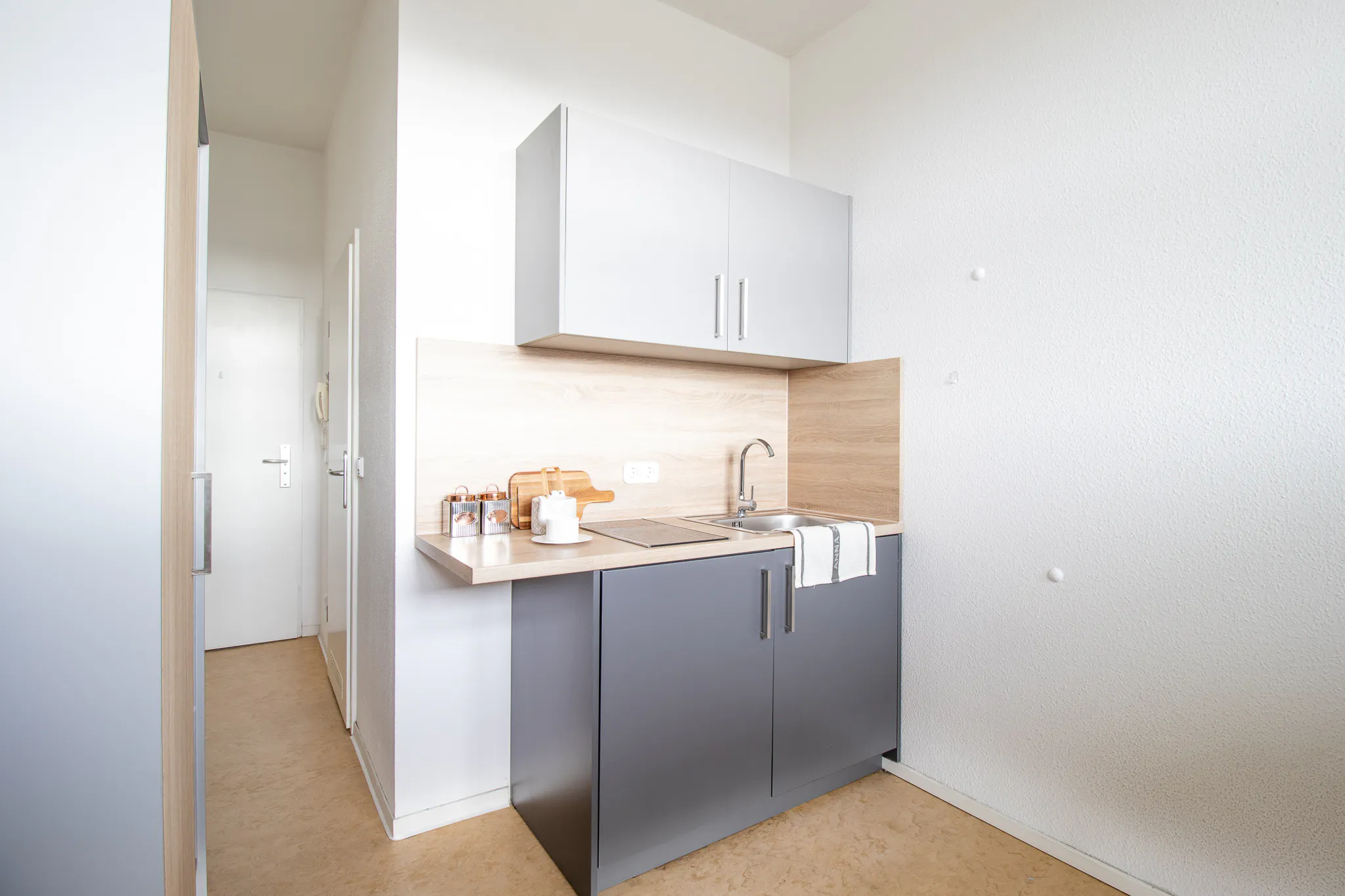 Apartment in Güntzstraße, Dresden (1603794) ROOM 1