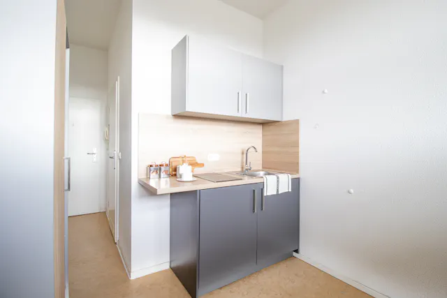 Apartment in Güntzstraße, Dresden (1603794) room image 2