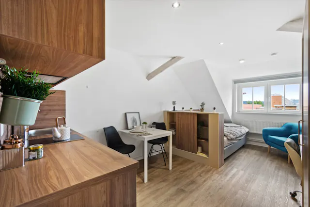 Apartment in Güntzstraße, Dresden (1603846) room image 2