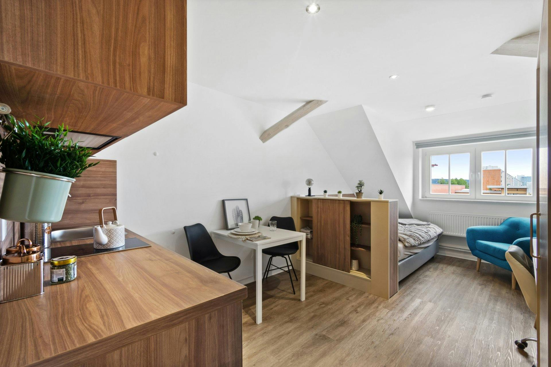 Studio te huur voor € 679 per maand in Dresden, Güntzstraße