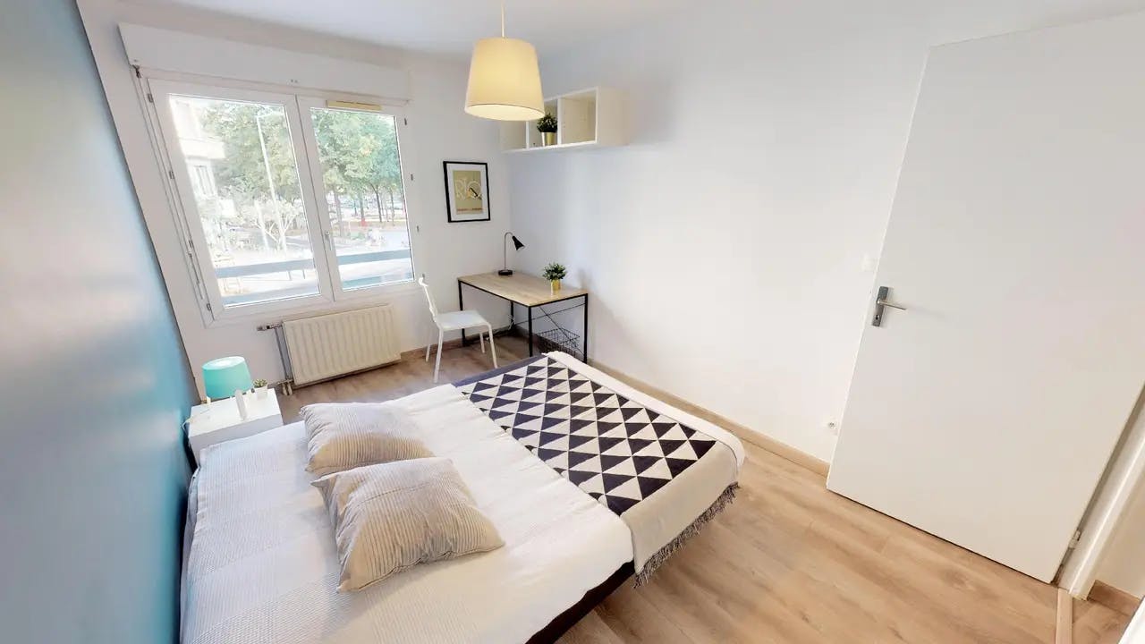Private room in Rue Eugène Manuel, Villeurbanne (1603895) room image 2
