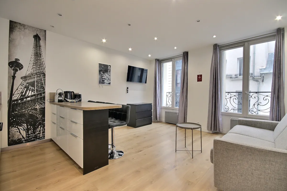 1-Bedroom Apartment in Rue Poissonnière, Paris (1604089) ROOM