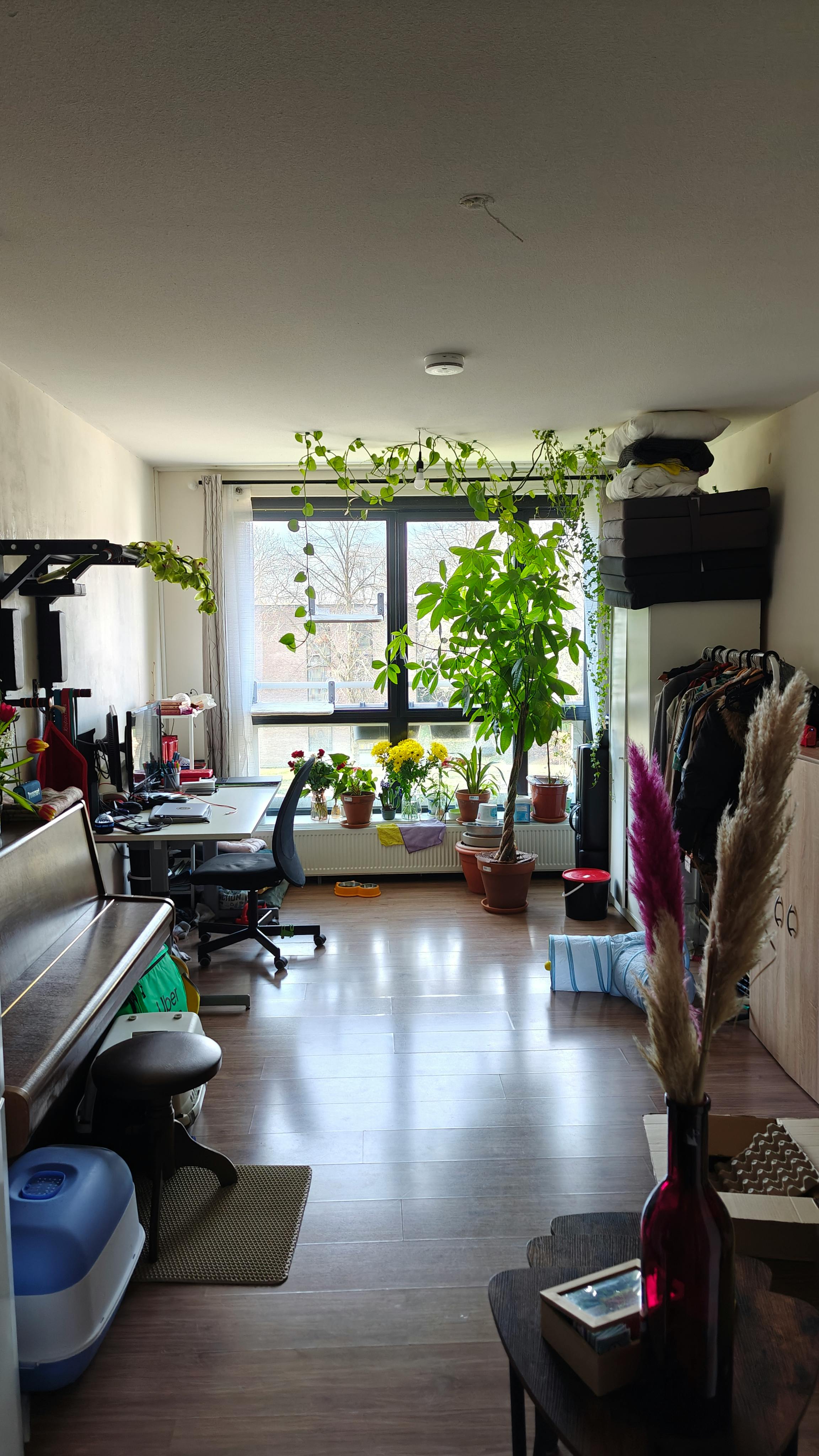 Studio aan Jacques Veltmanstraat 0 ong, Amsterdam