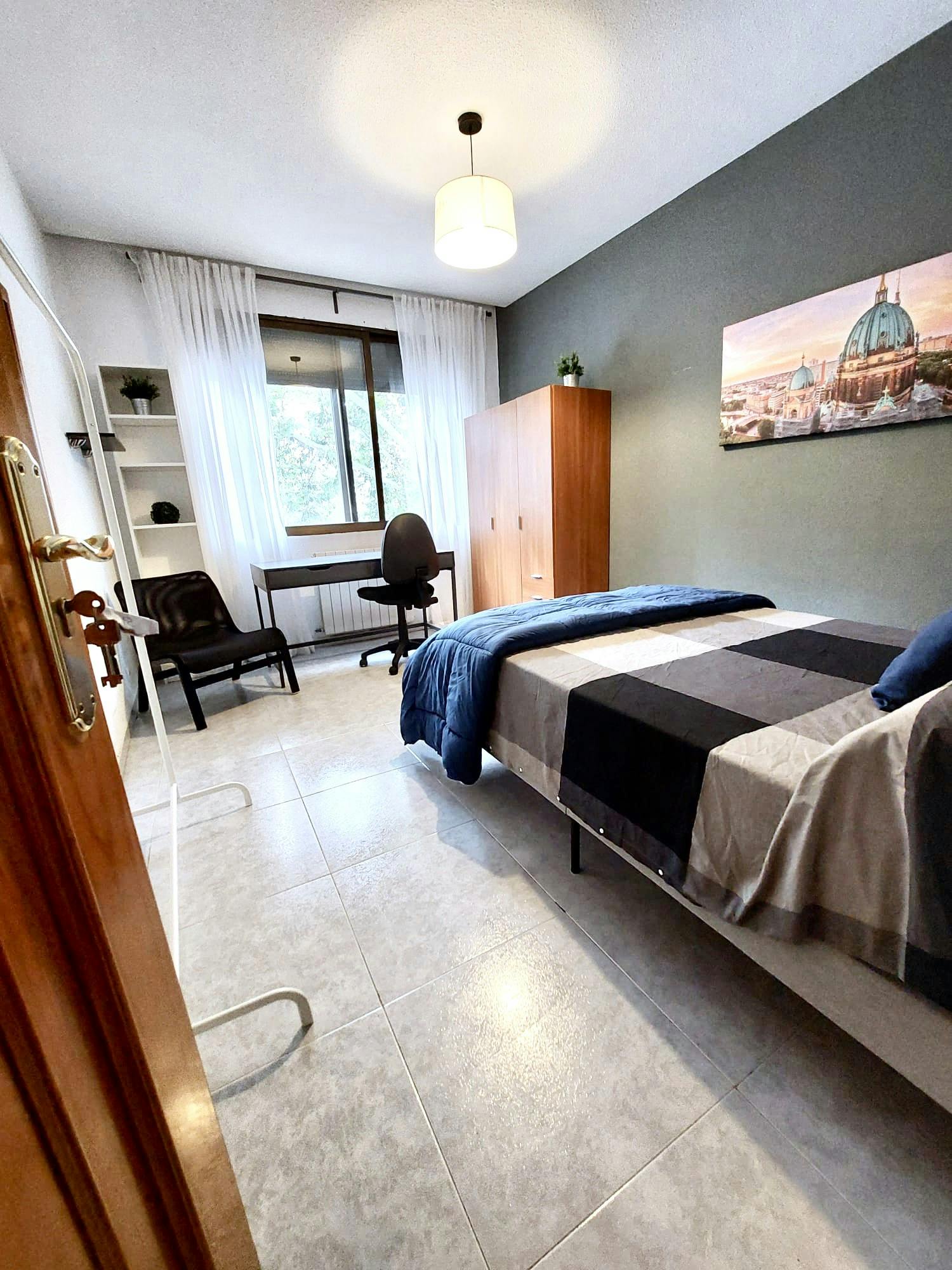 Calle de Francisco Silvela, Madrid preview