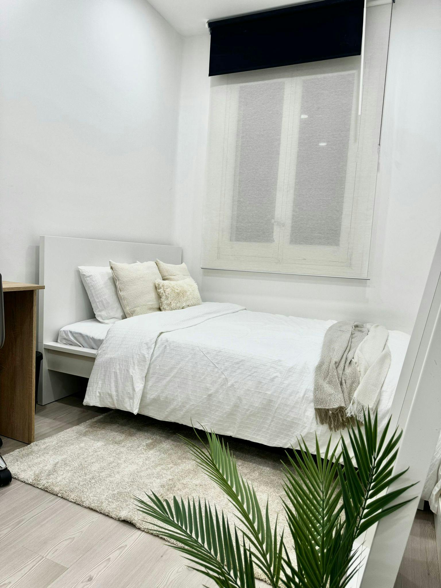 Calle de Serrano, Madrid Madrid