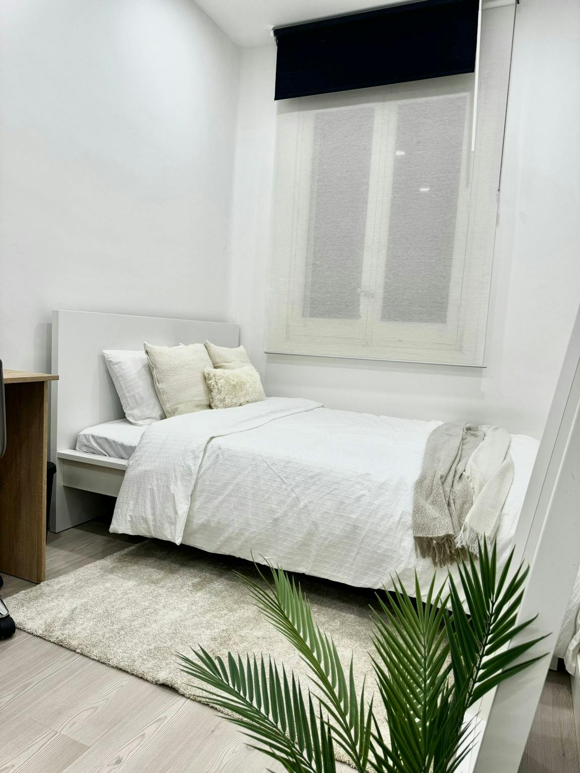 Calle de Serrano, Madrid preview