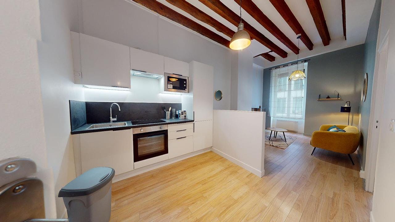 Apartamento para alugar por € 850 por mês em Lyon, Rue Montesquieu