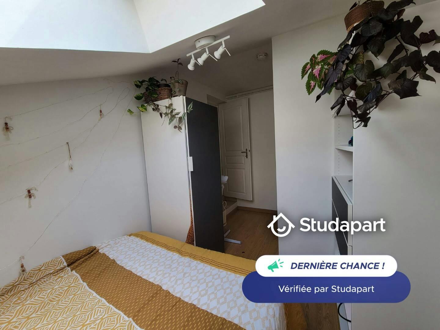 Apartment for rent on Rue Etienne Richerand, Lyon - Aanzicht 3