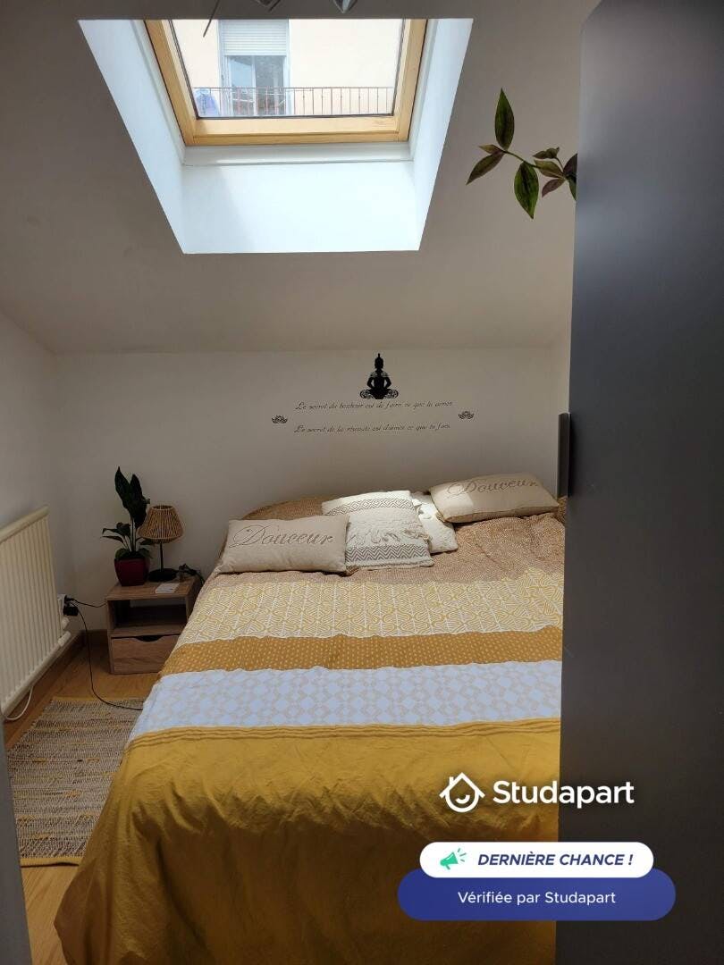 Apartment for rent on Rue Etienne Richerand, Lyon - Aanzicht 4