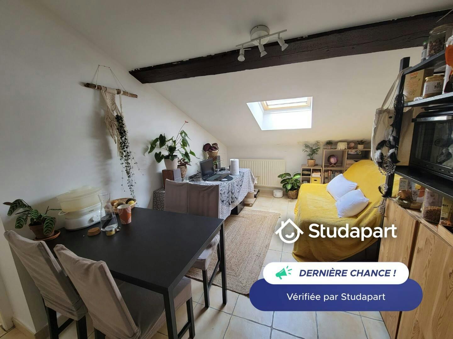Apartment for rent on Rue Etienne Richerand, Lyon