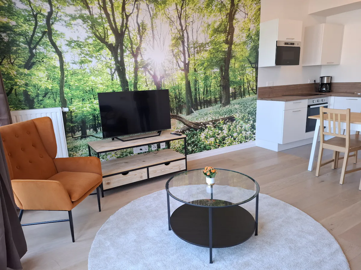 1-Bedroom Apartment in Rue des Bonnes Villes, Liège ROOM
