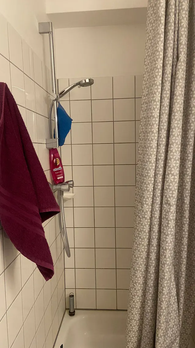 Apartment in Parkring, Mannheim room image 3