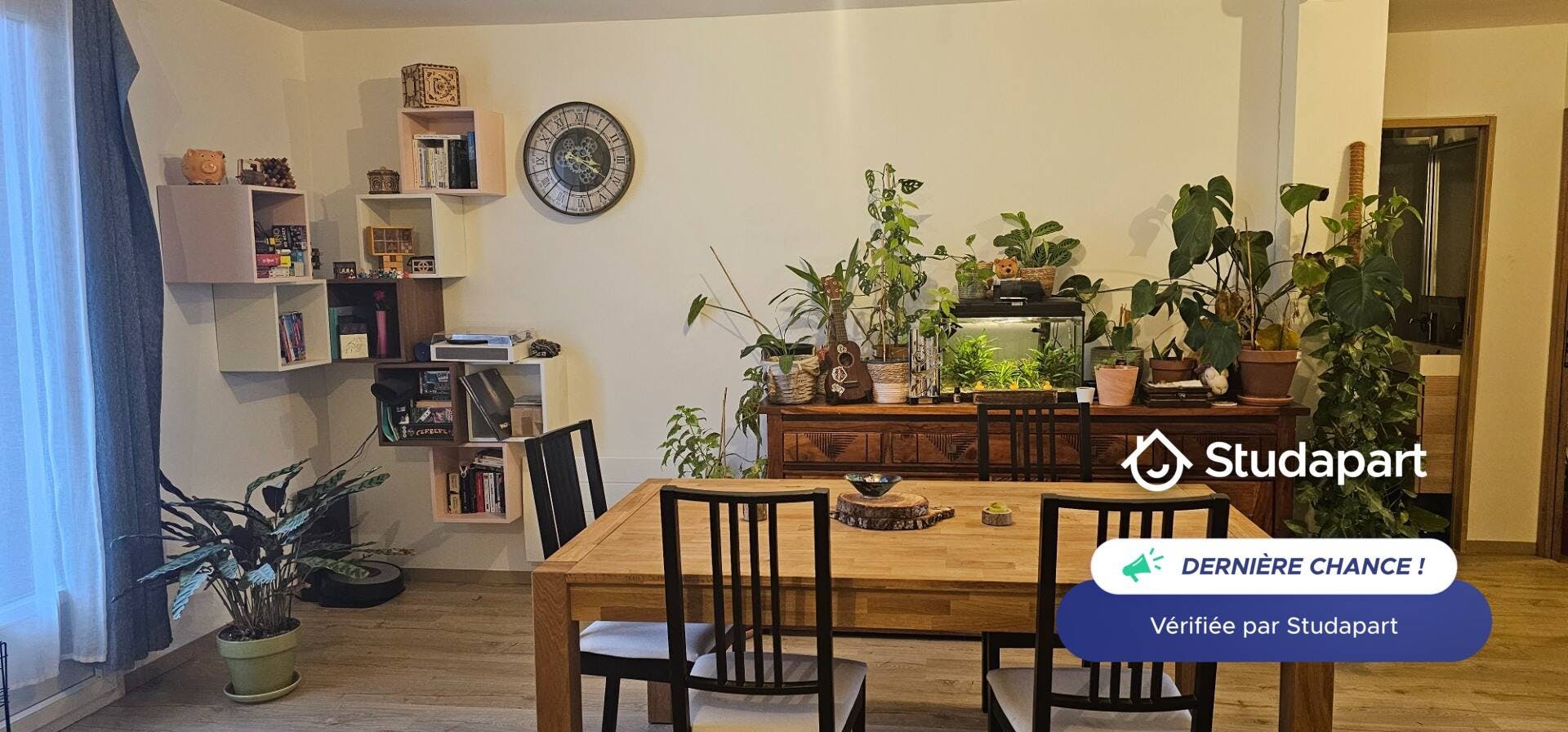 Apartment for rent on Avenue Paul Santy, Lyon