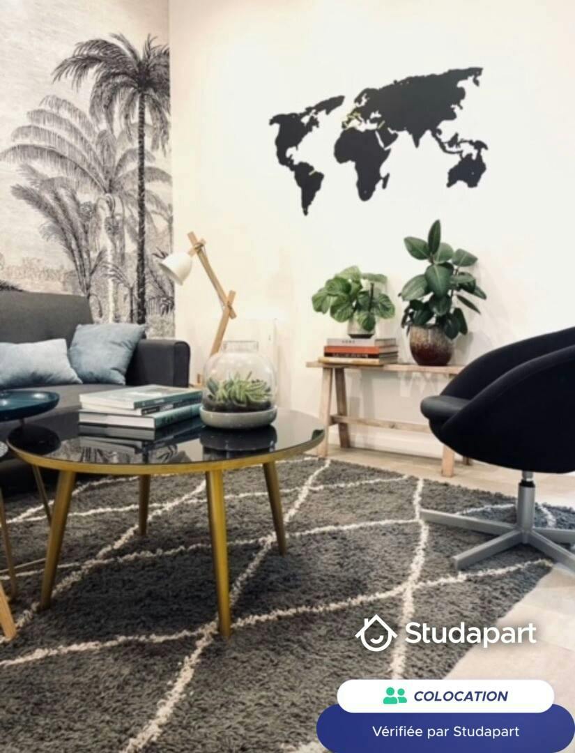 Private room for rent on Rue Roger Salengro, Lille - Plus
