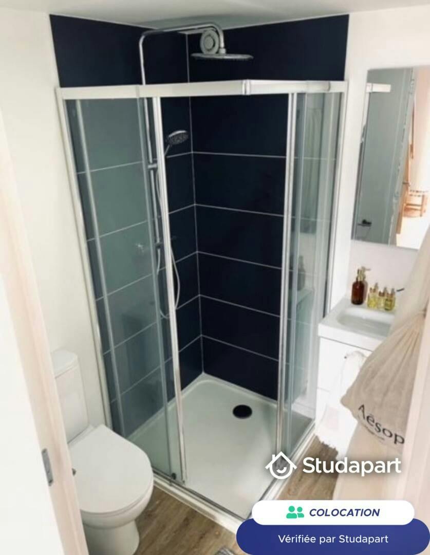 Private room for rent on Rue Roger Salengro, Lille - Vue 5