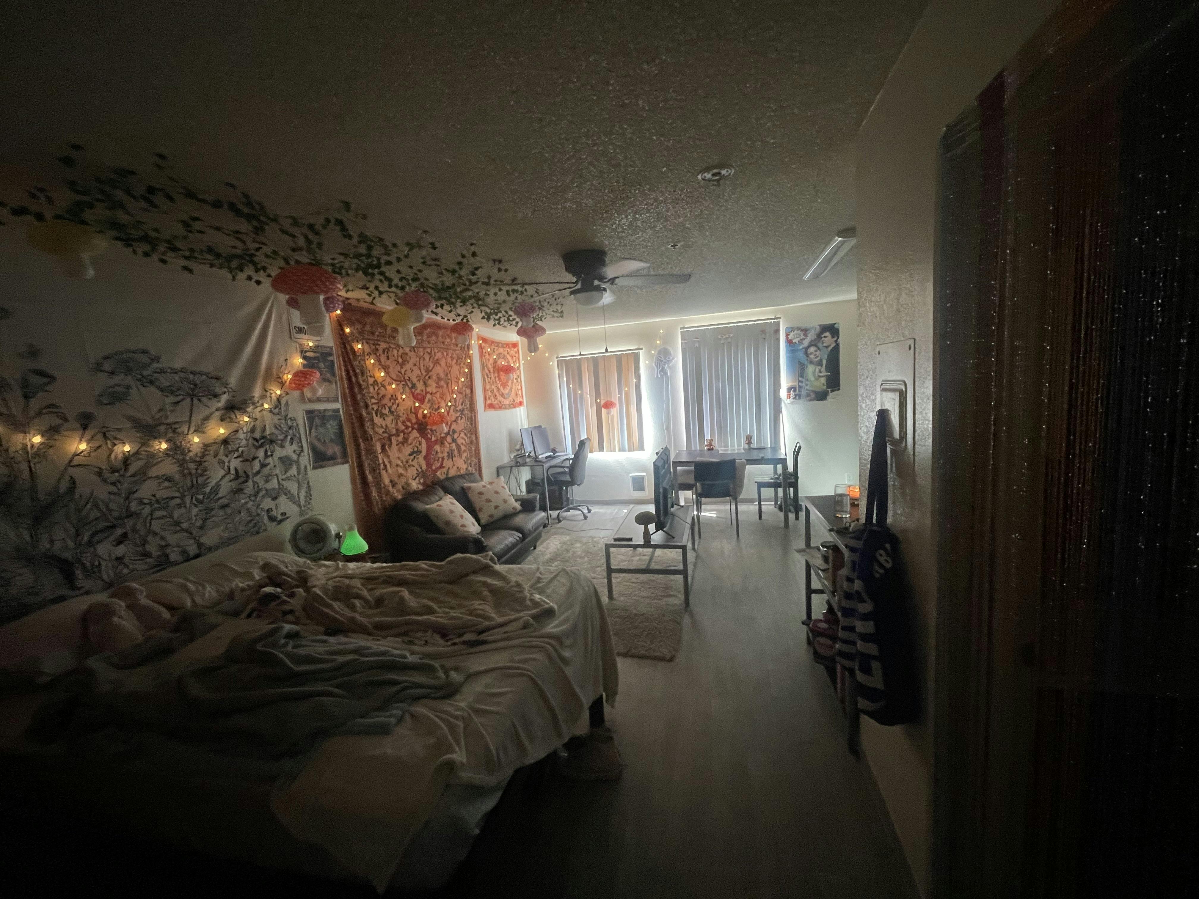 Studio for rent for $1,699 per month in San Luis Obispo, Mustang Drive