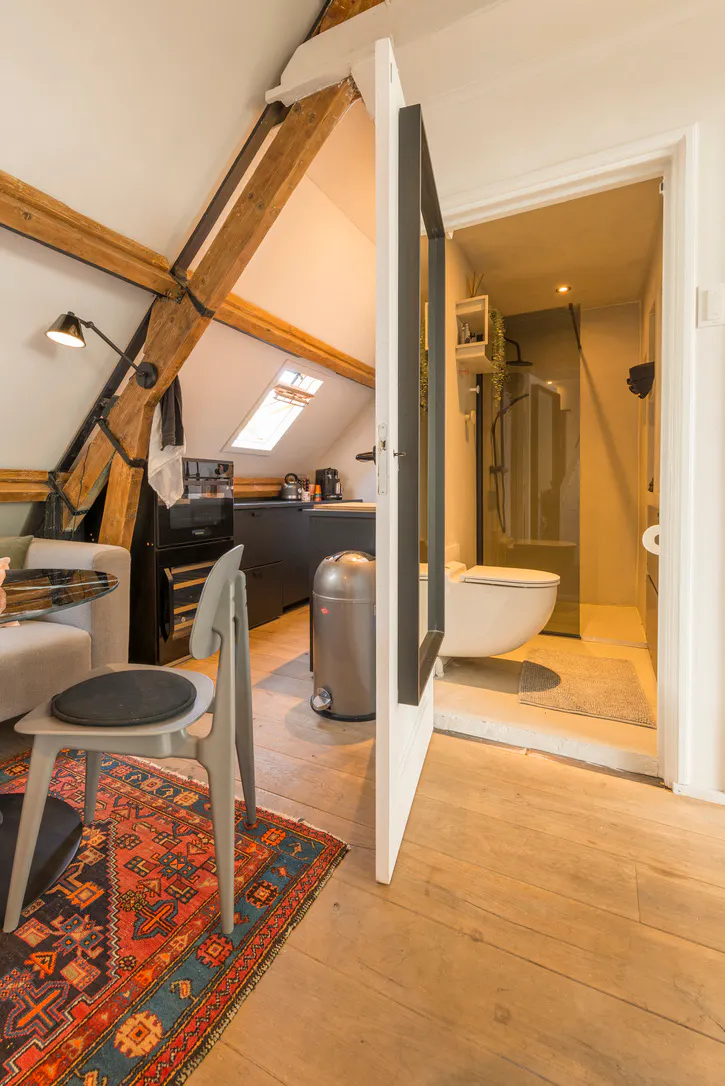 1-Bedroom Apartment in Petrus Dondersstraat, Eindhoven (1611702) ROOM 1