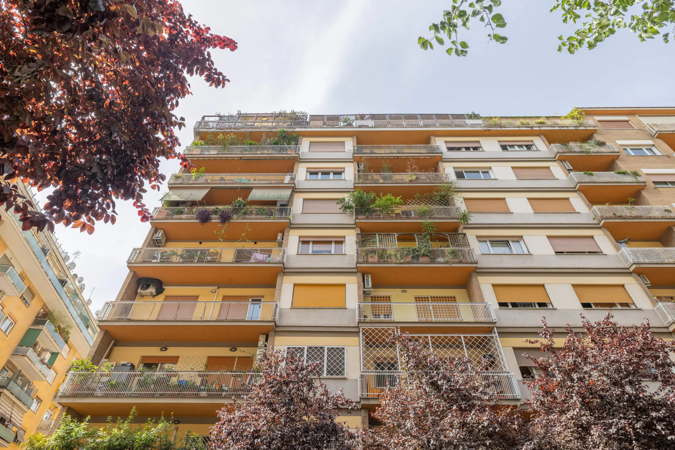 1-Bedroom Apartment in Via Cesare Pascarella, Rome (1611852) ROOM 3